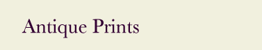 Antique Prints