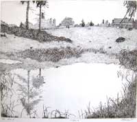Hansen pond