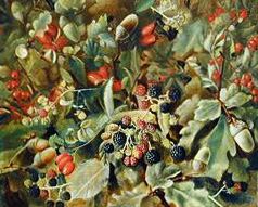 William Hough wayside Still life  Blackberries, Rosehips and Acorns