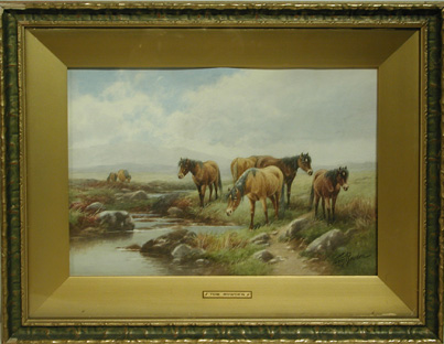 Dartmoor Ponies Painting