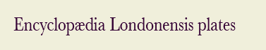 enclopedia Londonensis